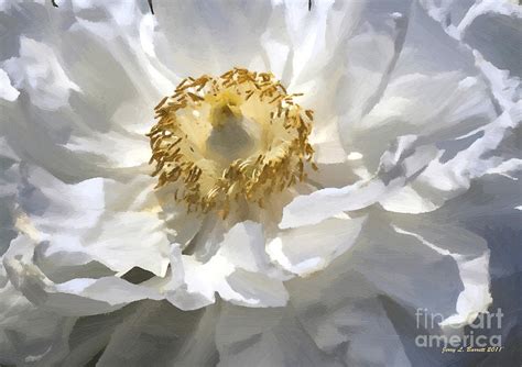 Painting Of A White Flower Mixed Media by Jerry L Barrett