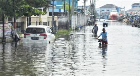 Walhi Tuding Banjir Rob Semarang Bencana Yang Sengaja Dibuat Khususnya