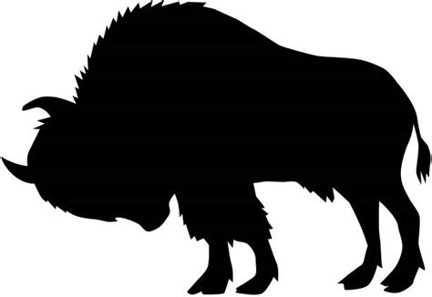 American Bison Silhouette Illustrations Royalty Free Vector Graphics