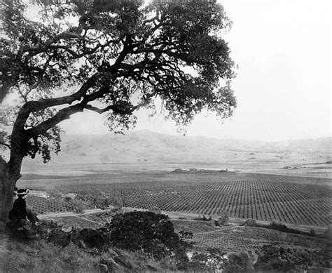 Santa Clara County: Overlooking Santa Clara Valley, c.1890 | Santa ...