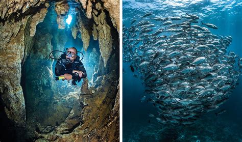 A Scuba Diver's Guide to the Peculiar Side of Palau | Scuba Diving