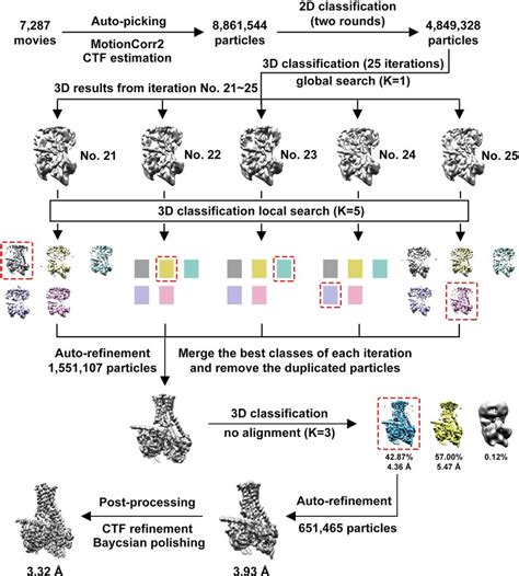 Flow Chart For The Cryo Em Data Processing And Structure Determination