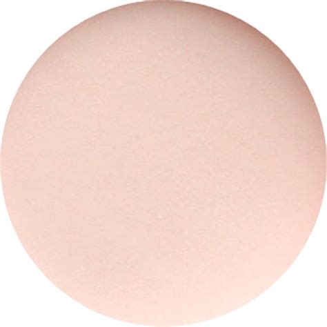 Acryl Powder Perfect Cover Nude Special Edition G Acpcn