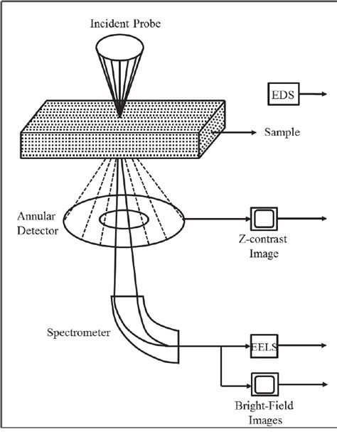 Scanning Electron Microscope Schematic