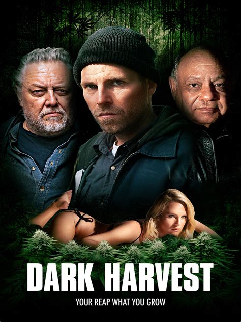 Prime Video Dark Harvest