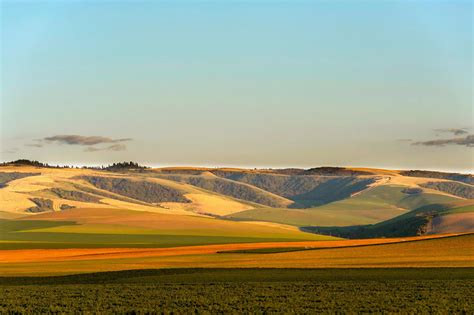 Why Walla Walla Washington Should Be Your Next Wine Region Vacation Washington Wine Country