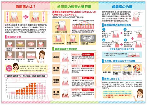 歯周病の知識と治療の流れを説明する歯科用リーフレット／パンフレット