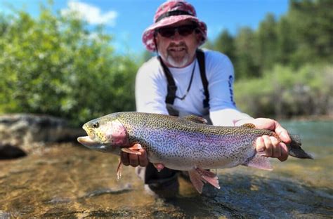 Colorado Fly Fishing Guide Service Blog Colorado Trout Hunters