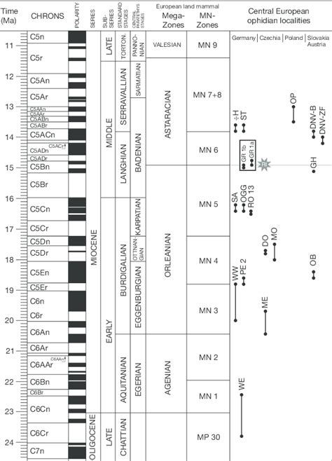 Standard Chronostratigraphy And Biostratigraphy Of The European