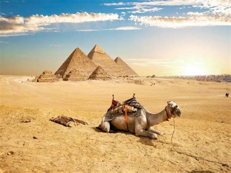 Cairo Day Tour To Giza Pyramids Sphinx Sakkara Dahshur Getyourguide