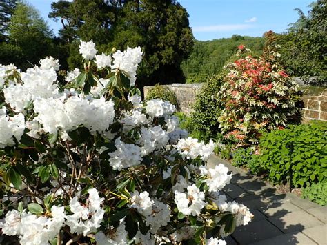 In The Garden At Chartwell Marathon Geograph Britain And Ireland