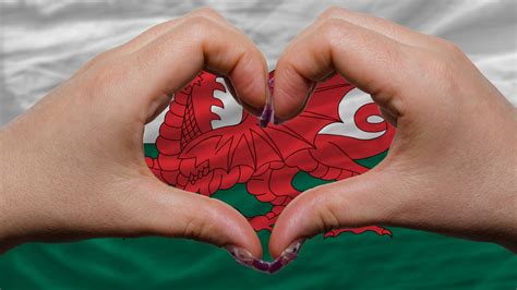 St Dwynwens Day What Is The Welsh Valentines Day And How Is It