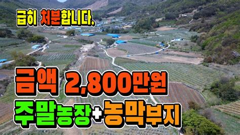 🤞주말농장농막용 소형땅매매 2천8백만원 전기도로접🤞경북 포항시 북구 매물997 Youtube