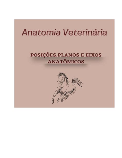 Planos Anatômicos E Eixos 1