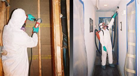 Commercial and Residential Mold Removal Philadelphia, Main Line & New ...