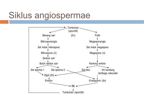 Reproduksi Pada Tumbuhan Ppt Pptx