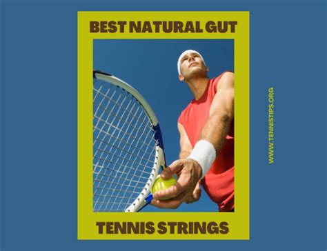 Best Natural Gut Tennis Strings Improve Durability