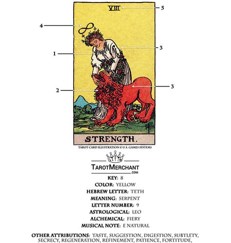 Strength Tarot Card Meanings Keywords Symbolism Love