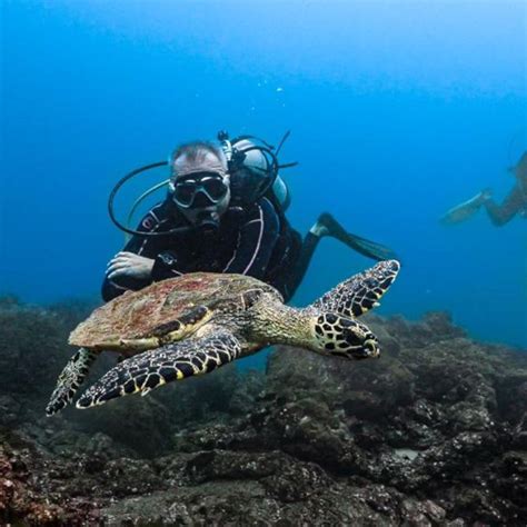 Tour De Buceo En Isla Del Ca O Costarricenses