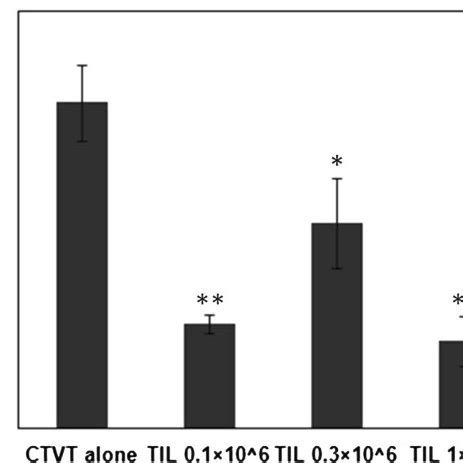 CXCL7 And CXCR2 Expression In P Phase CTVT Cells Was Regulated By IL 6