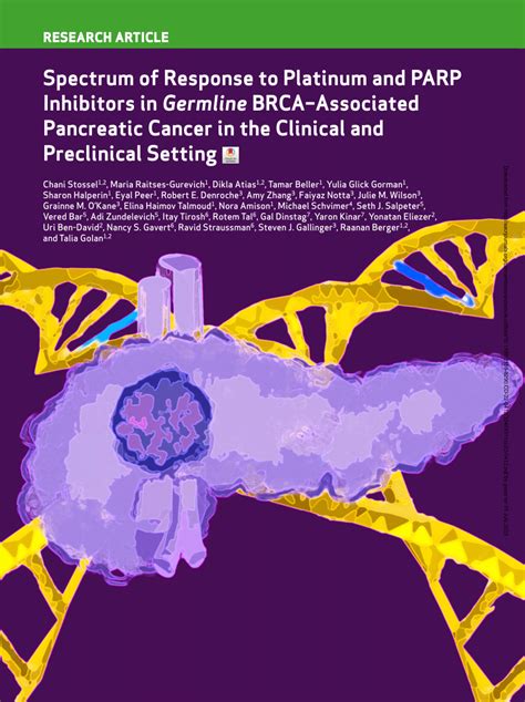 PDF Spectrum Of Response To Platinum And PARP Inhibitors In Germline