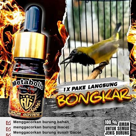 Jual Metabolis Aman Untuk Penggacor Burung Kicau Cocok Buat