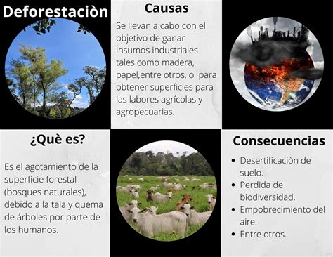 Argumento Acerca De Las Causas