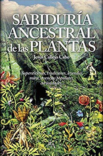 Plantas M Gicas Y Misteriosas Descubre Sus Secretos