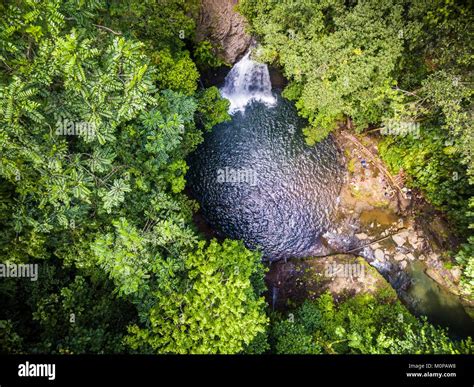 France Cara Bes Petites Antilles La Guadeloupe Basse Terre Petit