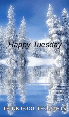 Good Morning Tuesday GIF - Good Morning Tuesday Happy Tuesday - Discover & Share GIFs