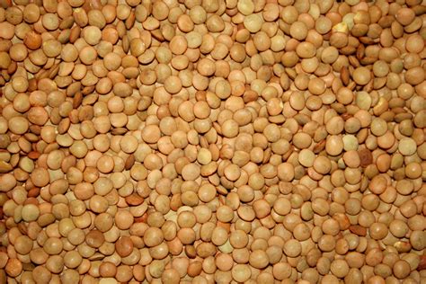 Lentils Texture Picture Free Photograph Photos Public Domain