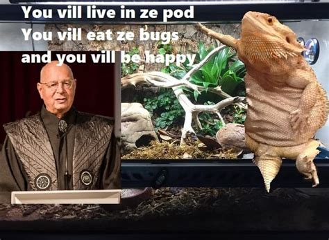 You Will Live In Ze Pod You Vill Eat Ze Bugs And You Vill Be Happy Ifunny