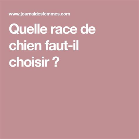 Quelle Race De Chien Faut Il Choisir