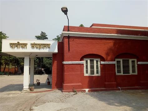 Panipat Museum - 2020 All You Need to Know BEFORE You Go (with Photos ...