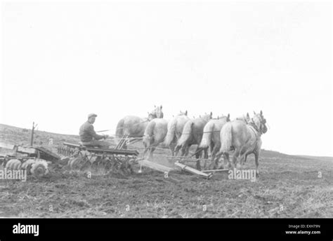 carstairs alberta  res stock photography  images alamy