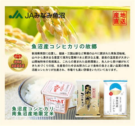 令和5年産 南魚沼産 コシヒカリ 10kg 新潟県 南魚沼 Jaみなみ魚沼農協 特a地区 天地米 送料無料 麺類