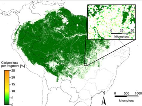 Spatial distribution of tropical forest fragments in the Amazon Forest ...