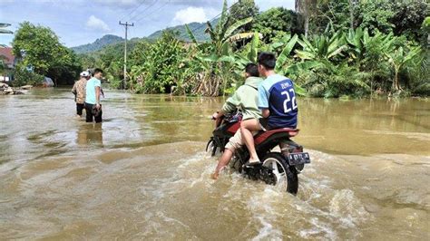 Banjir Rendam Puluhan Rumah Warga Desa Babat Musi Rawas Sawah Dan