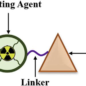 Representation of radiopharmaceutical components. | Download Scientific ... 