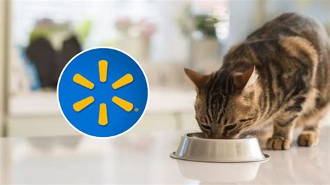 Walmart Pone En Especial Descuento Una De Las Croquetas Para Gato Con