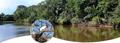 PALO VERDE NATIONAL PARK TOUR - Ecogetaways