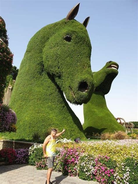 Topiary Garden Art: A Stunning Display of Nature's Creativity