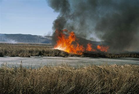 Prohibidas las quemas de restos agrícolas y forestales