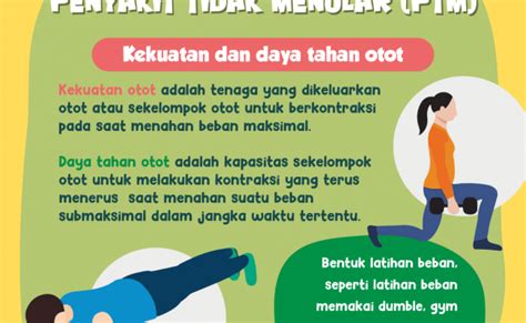 Pendidikan Jasmani Dan Kesihatan Tingkatan 5 Daya Tahan Otot Dan Kekuatan Otot Otosection