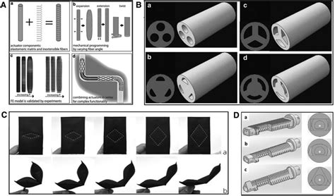 Mechanical Programming Achieved By Varying Device Design Or