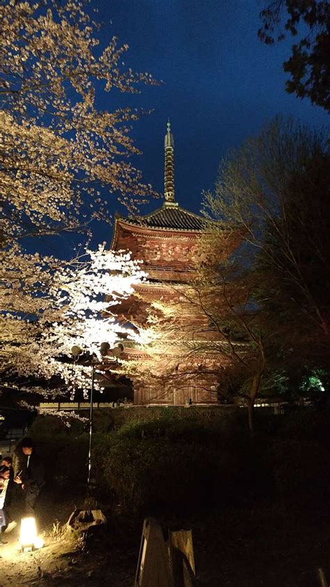 園城寺塔婆三重塔三重塔オンジョウジトウバサンジュウノトウサンジュウノトウ園城寺町三井寺駅歴史的建造物 By Line Place