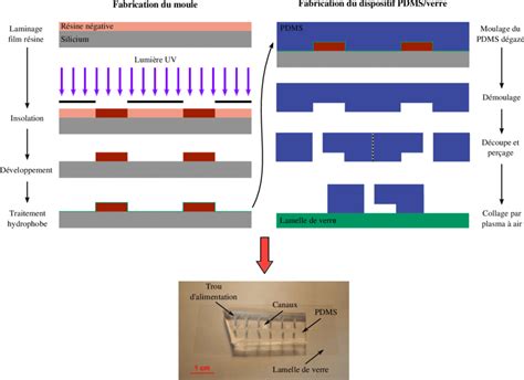 Sch Ma Du Proc D De Fabrication D Une Puce Microfluidique Pdms Verre