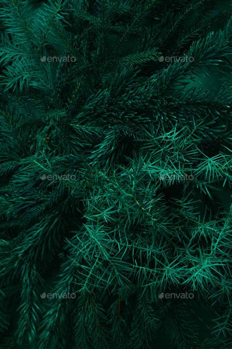 Christmas tree green background. Stock Photo by Real_life_Studio | PhotoDune