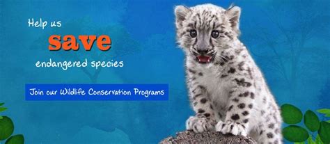 Zoological Wildlife Foundation (ZWF) - Zoo Miami | Wildlife foundation ...