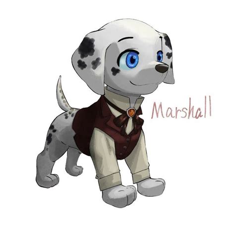 Marshall Paw Patrol Cartoon Marshall Paw Patrol Paw